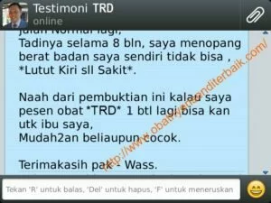 Testimoni Triflex Capsule Green World